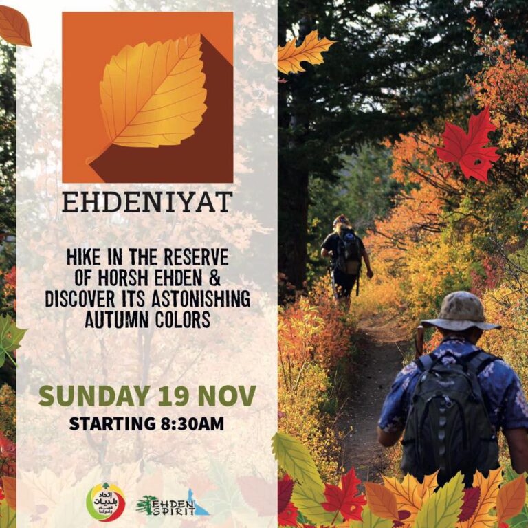 Hiking in November نشاط بيئي ترفيهي في محمية حرش إهدن