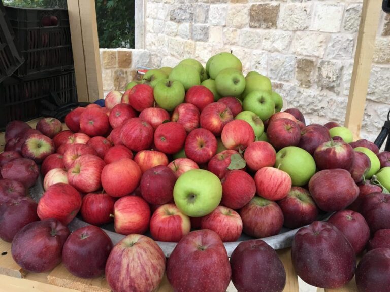 مهرجان التفاح في اهدن، سوق وعروض ترفيهية